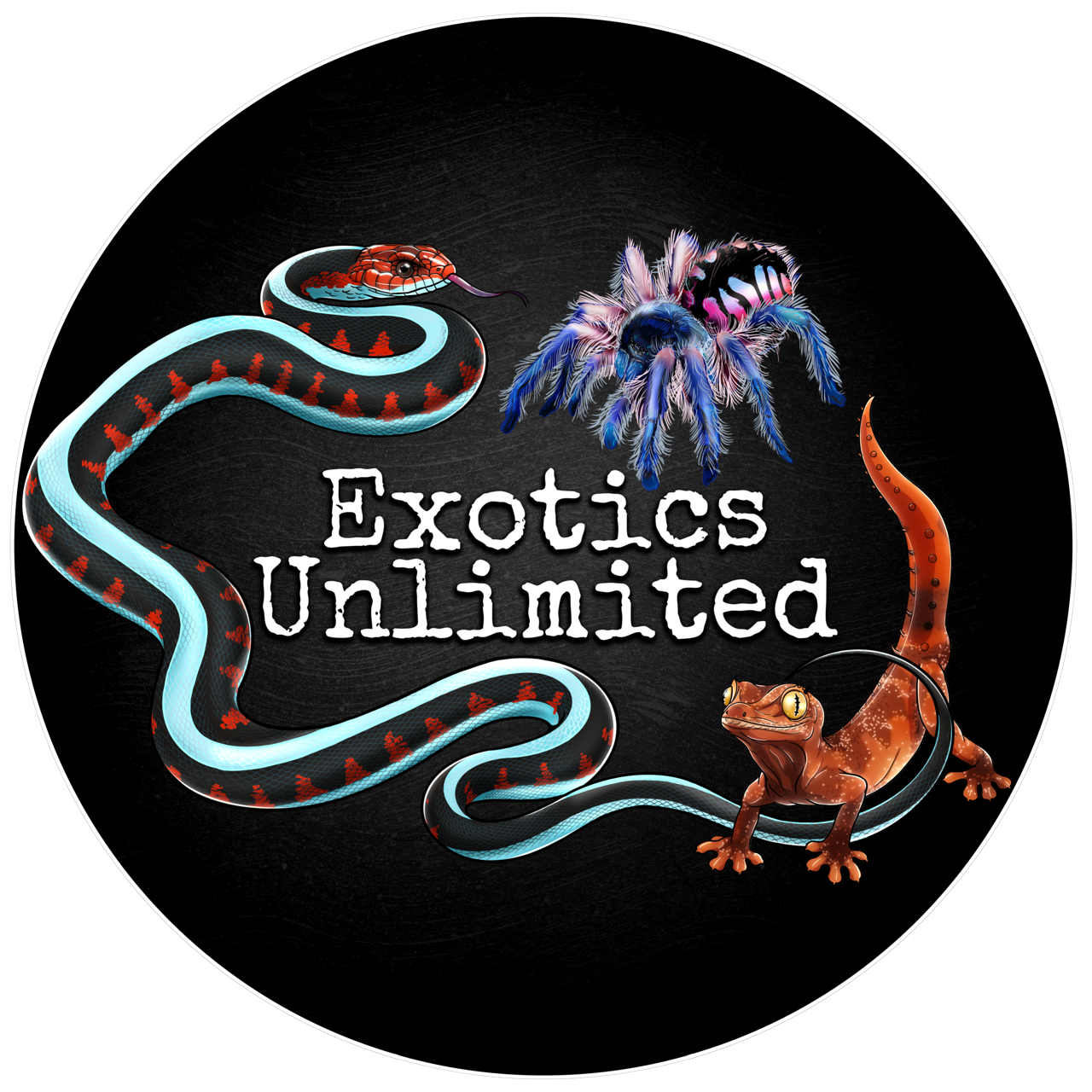 Exotics Unlimited Snakes